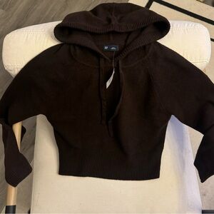 GAP Cashsoft Sweater Hoodie